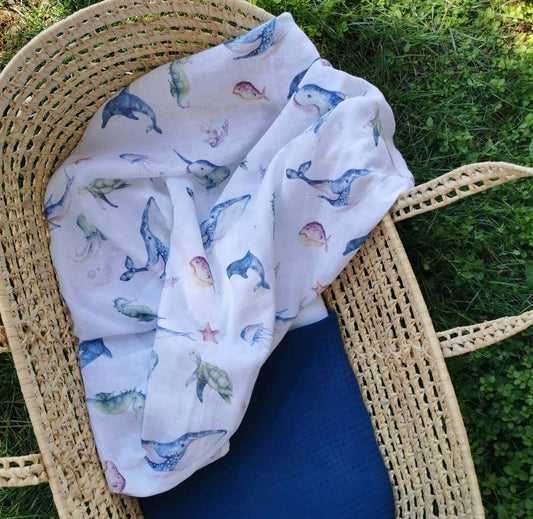 sea swaddle